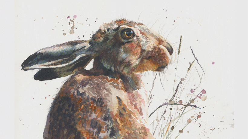 Self-taught artist Sarah Stokes uses watercolors to create expressive animal portraits.