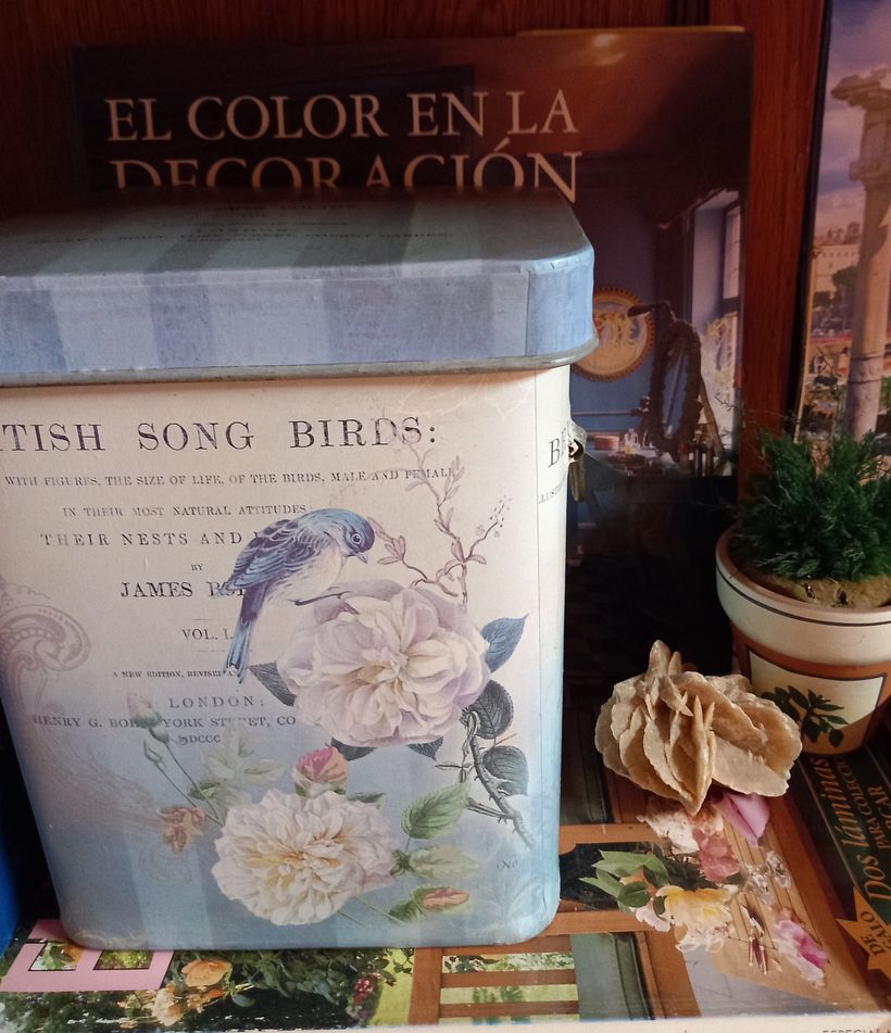 Mi Fotografía de mis Libros y Revistas favoritos de DECORACIÓN!!! 3