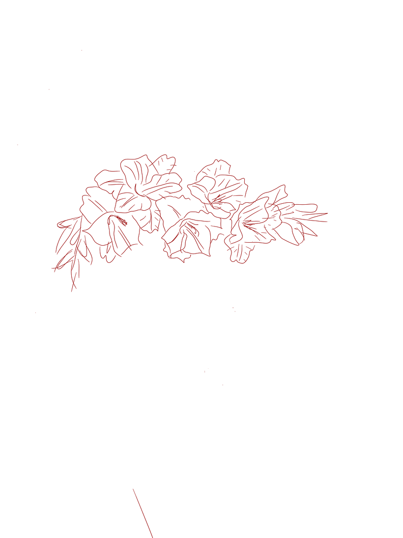 preliminary design