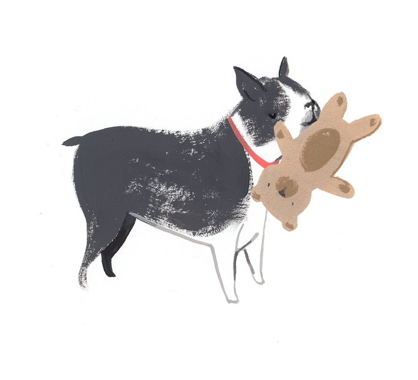 Life Lessons I Learned from my Dog 4