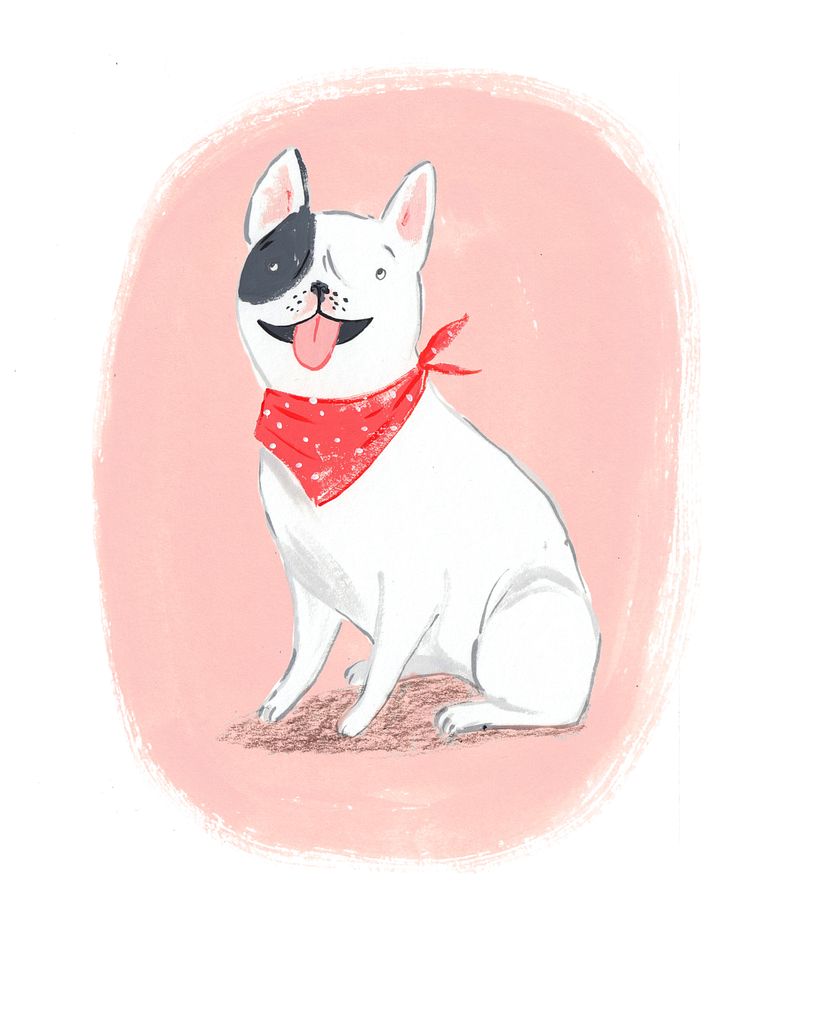 Life Lessons I Learned from my Dog 6