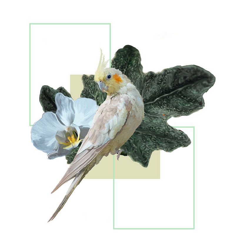 Mi Proyecto del curso: Estampado textil con técnicas digitales 1