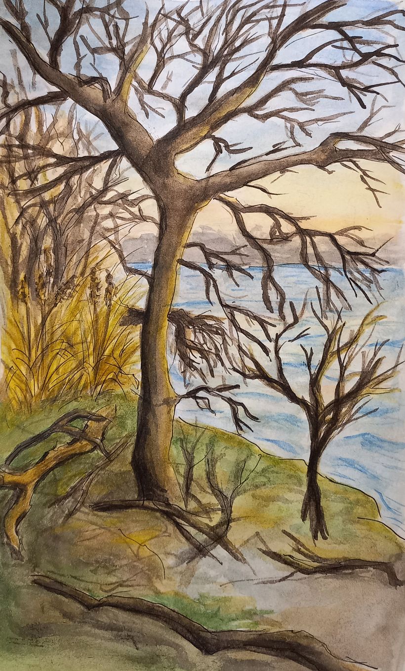 My first three month of sketching  4