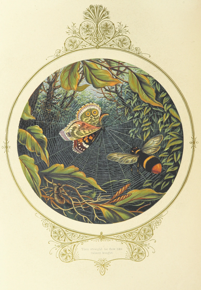 Digitalisiertes Bild aus "Fairy Mary's Dream. Von A. F. L. (1870), The British Library.