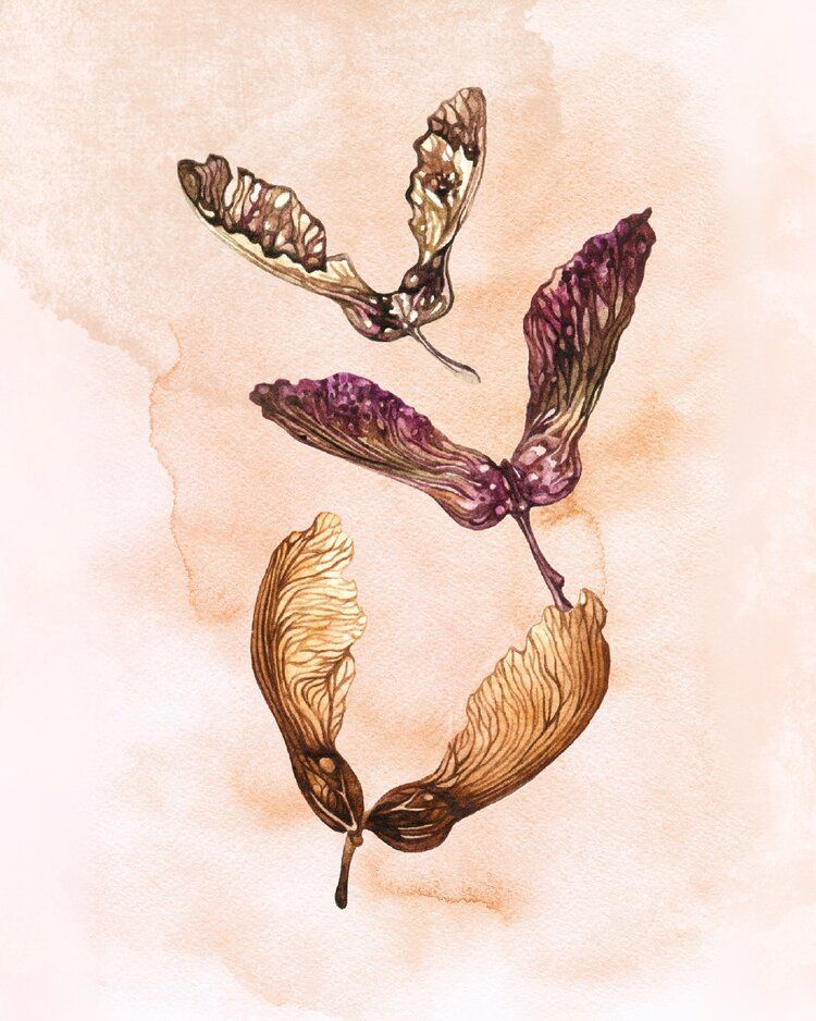 Botanical artworks 3