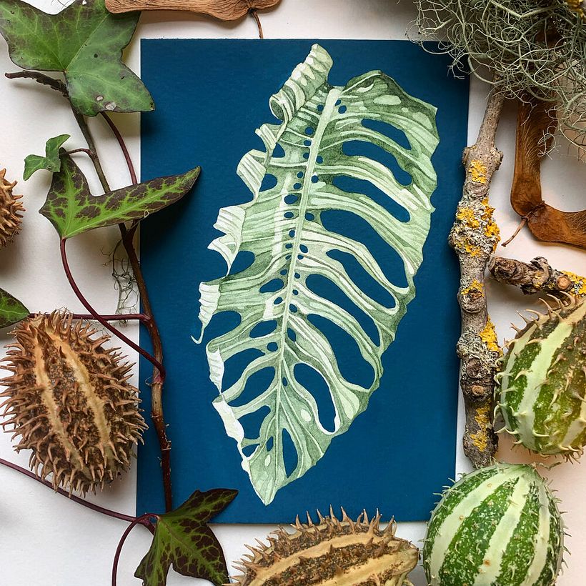 Botanical artworks 6