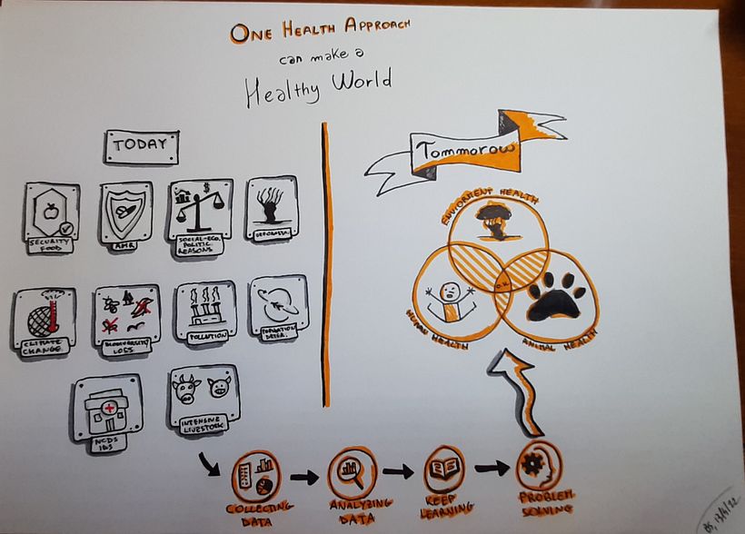 Here's my final project focused on the importance of the "One Health Approach"