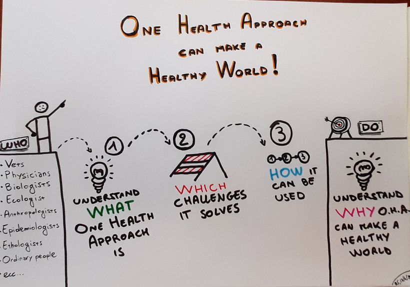 The WHO DO scheme used to introduce the "One Health Approach"