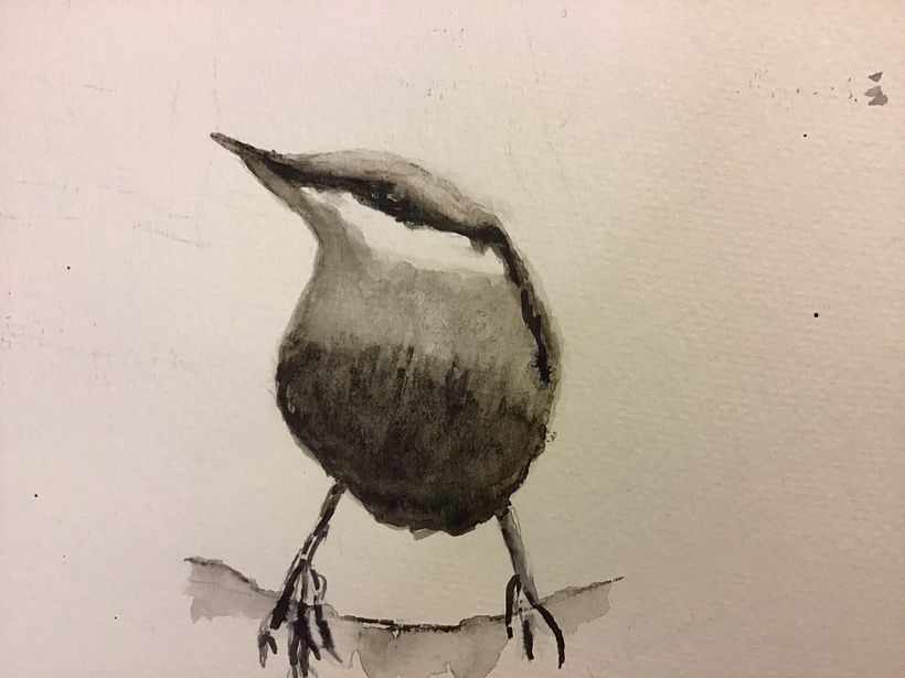 My project for course: Artistic Watercolor Techniques for Illustrating Birds 4