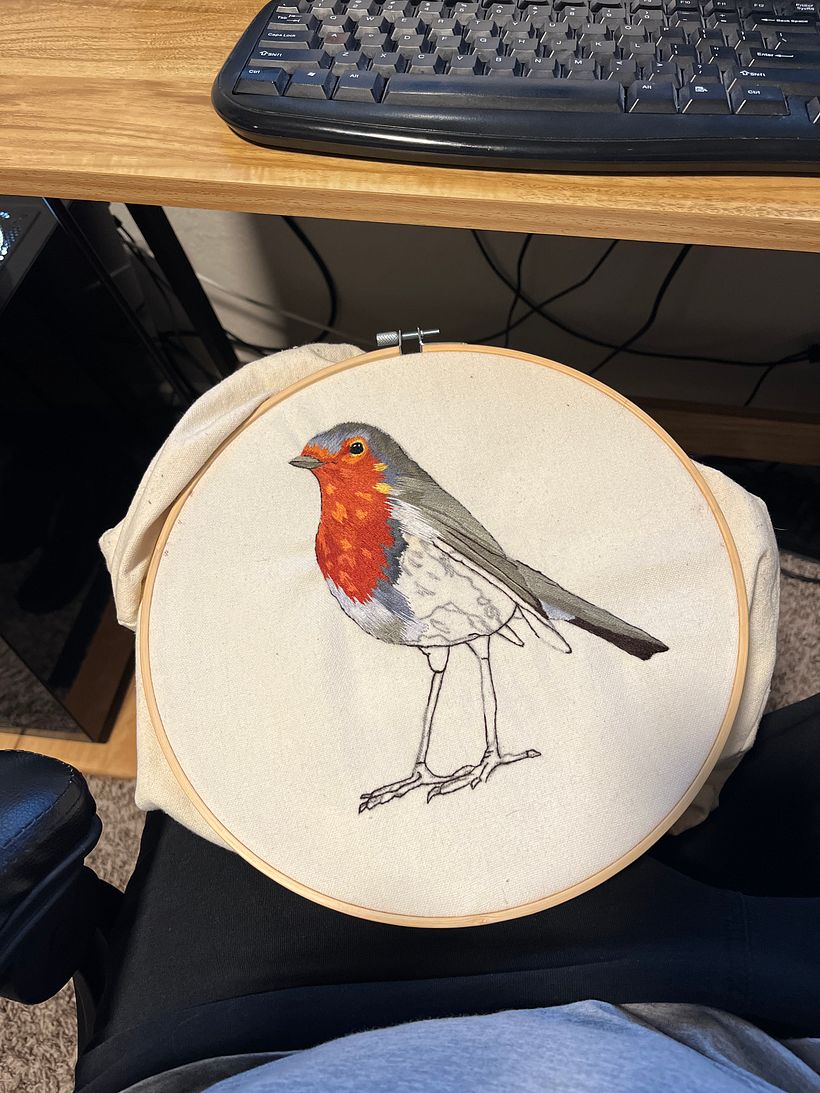 My project for course: Painting with Thread: Textile Illustration Techniques 3