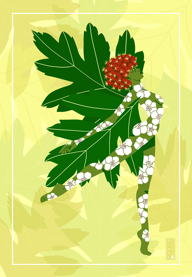 My project for course: Illustration: From Idea to Concept 3