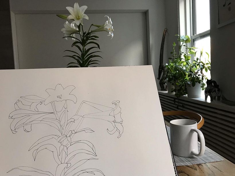 Six AM.  Drawing over breakfast.