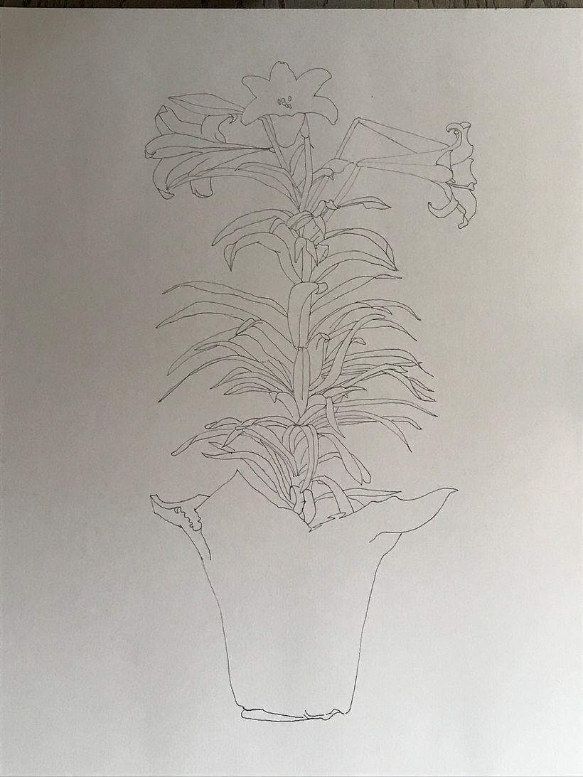 Finished the ink drawing.  Now it's on to watercolor.