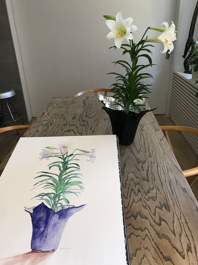 Model and artwork