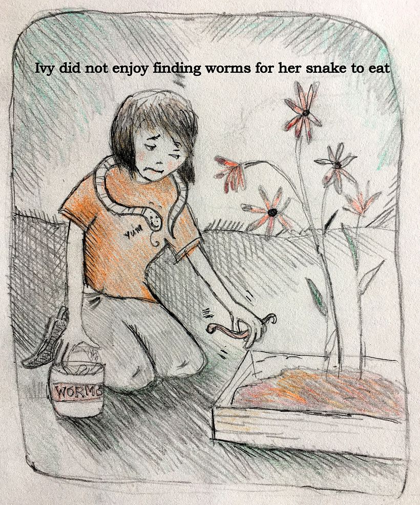 My project for course:  Illustrating and Writing a Children's Book-Heather Murray  8