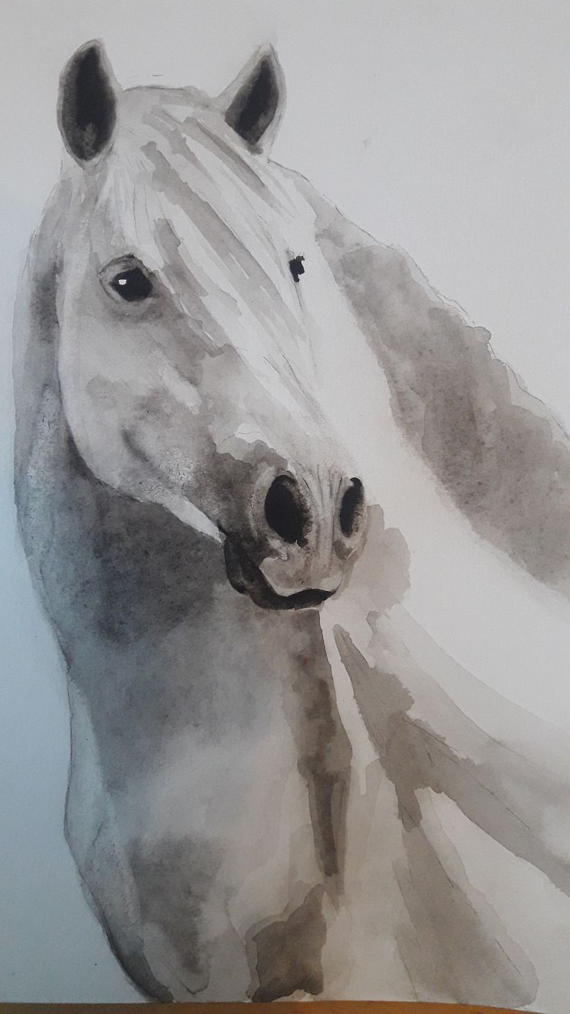 Mein Kursprojekt: Ausdrucksstarke Tierporträts in Aquarell 2