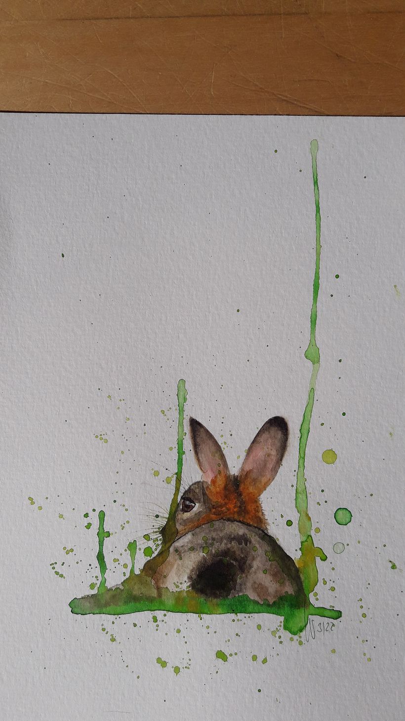 Mein Kursprojekt: Ausdrucksstarke Tierporträts in Aquarell 5