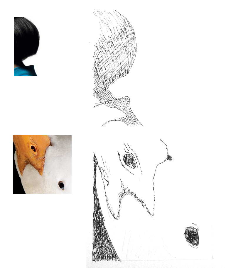 My project for course: Drawing from Real Life: Learn to Observe Reality 11