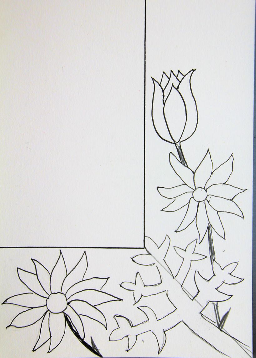 Detail of Flannel Flowers