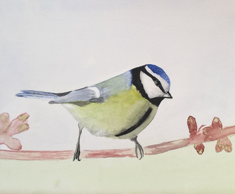 Mésange