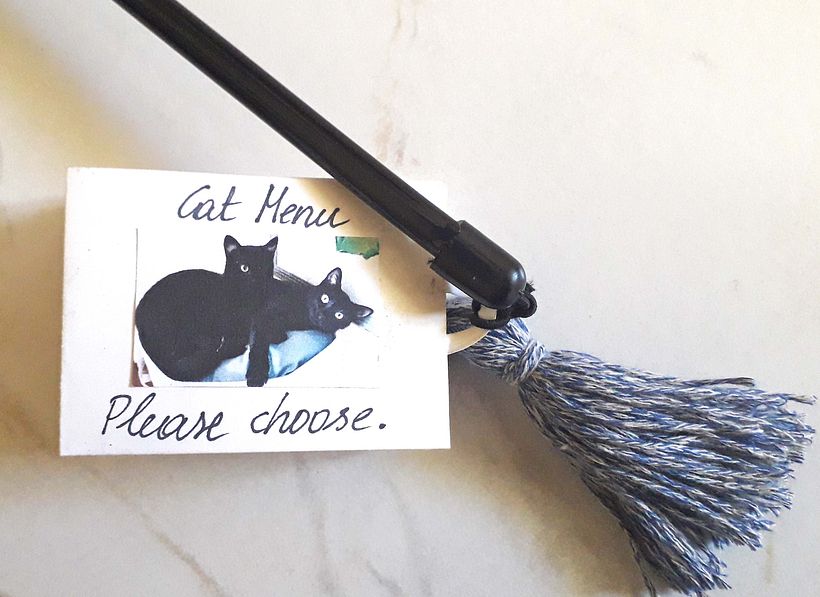 Mein Kursprojekt: Techniken zur Förderung der Kreativität_Menu for cats with sleep planner 2