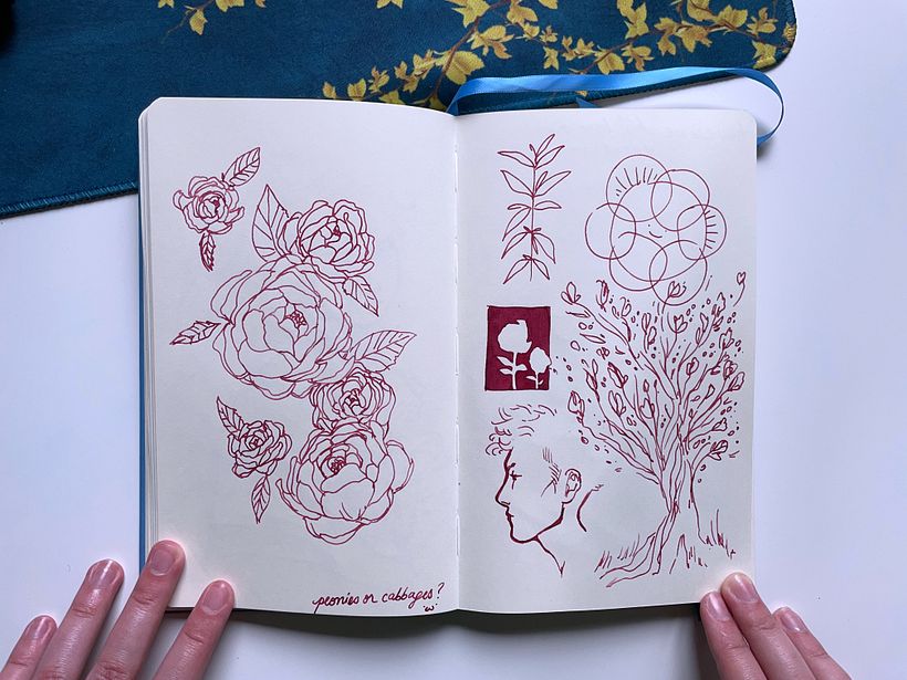 peonies (or cabbages)