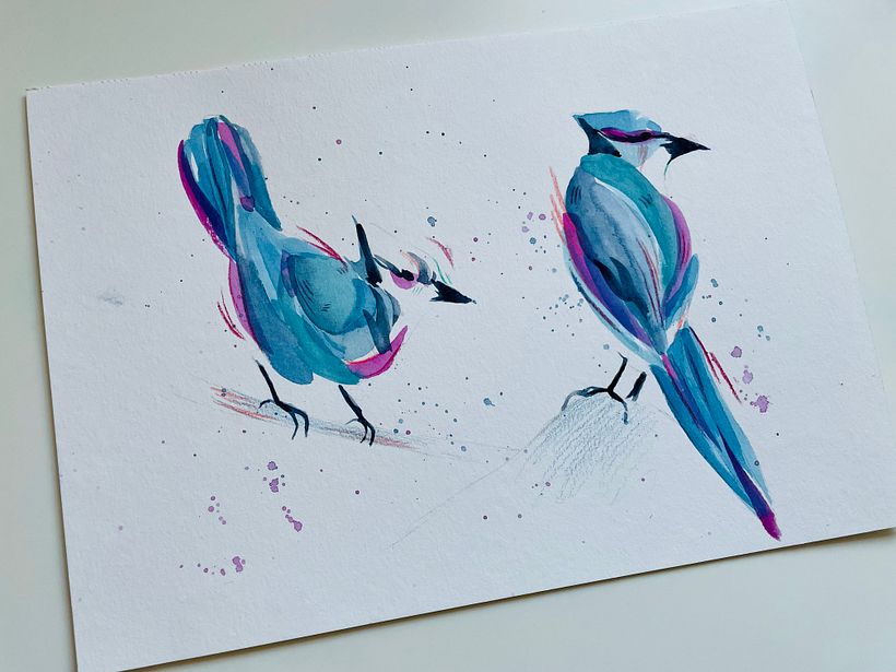beloved blue jays