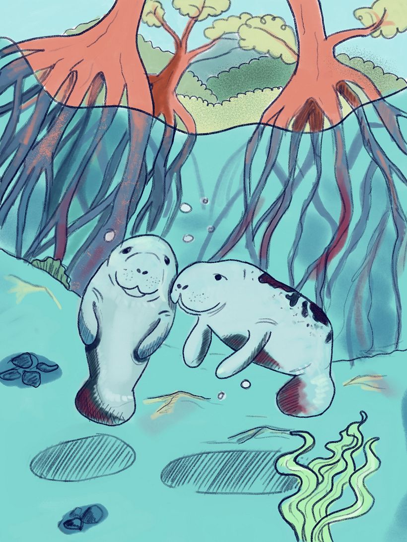 My first colour set-up; I later changed to more vibrant, saturated colours.