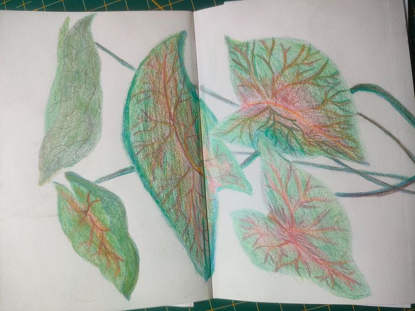 My project for course: Botanical Patterns in a Sketchbook: Conquer the Blank Page 3