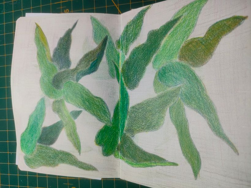 My project for course: Botanical Patterns in a Sketchbook: Conquer the Blank Page 7