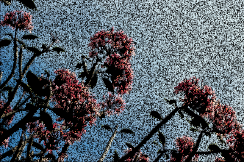 My project for course: Creative Coding: Making Visuals with JavaScript 2