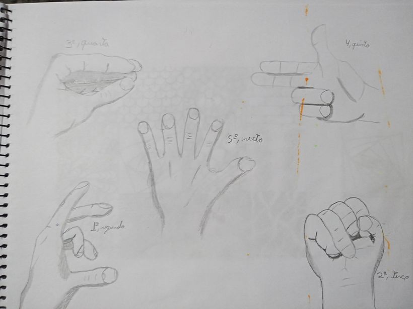 Meu projeto do curso: Desenho para principiantes nível -1 4