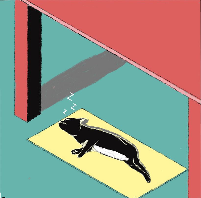 Mi Proyecto del curso: Ilustración editorial: crea una narrativa visual 1