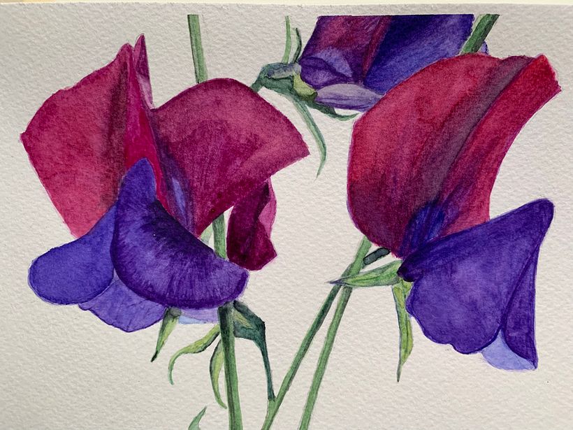 My project for course: Botanical Illustration with Watercolors 1