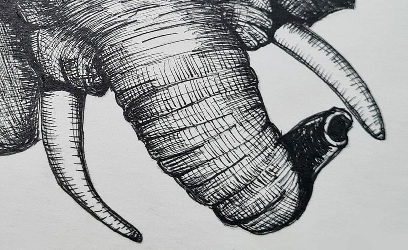 Mi Proyecto del curso: Ilustración surrealista con rotuladores 6