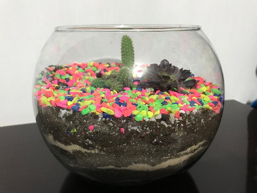 Mi Proyecto del curso: Arte vegetal: crea tu propio terrario abierto 4