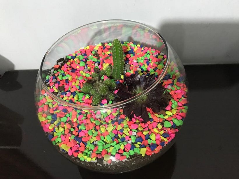 Mi Proyecto del curso: Arte vegetal: crea tu propio terrario abierto 2