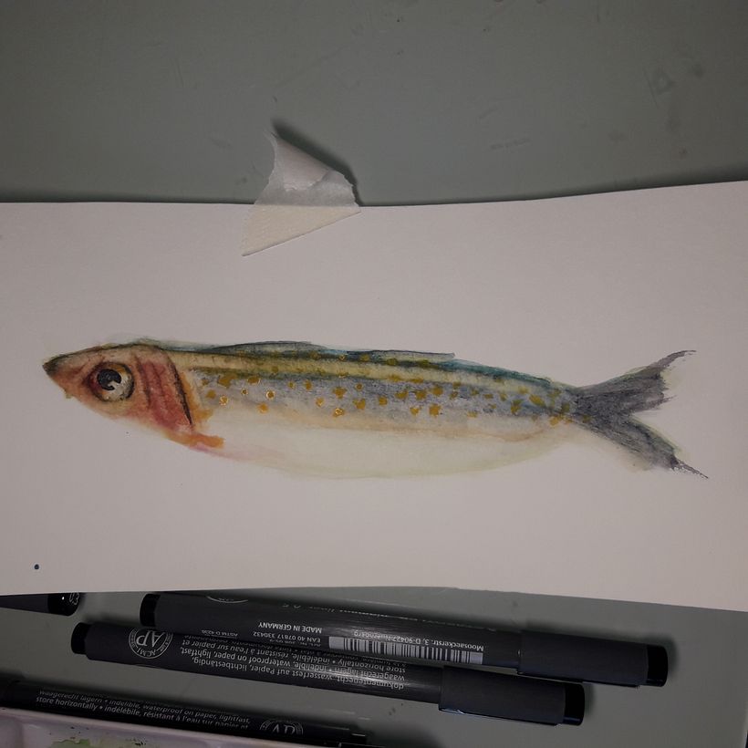 Mein Kursprojekt: Aquarellillustration von Meereswelten  1