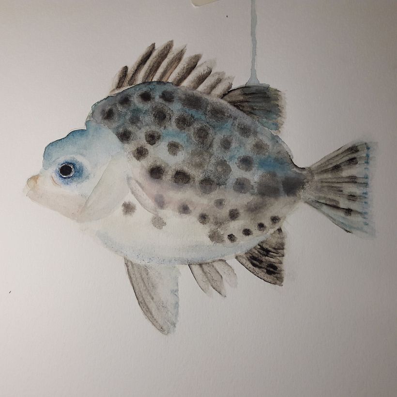 Mein Kursprojekt: Aquarellillustration von Meereswelten  5
