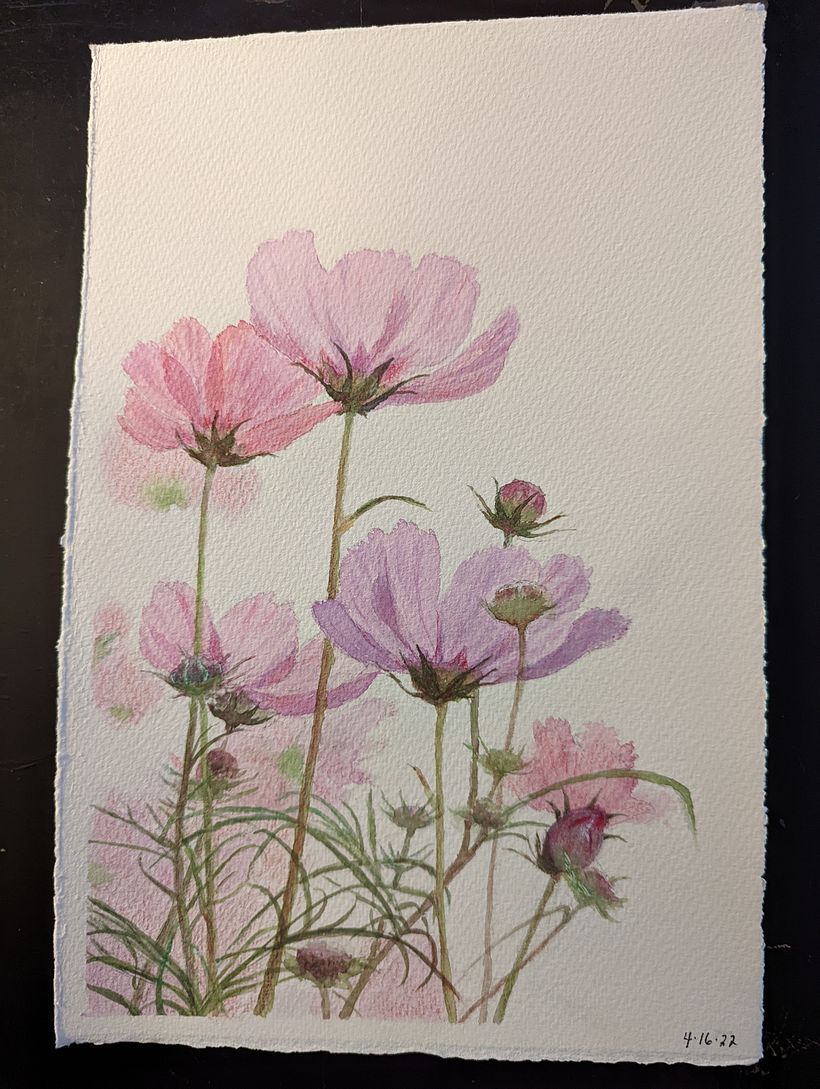 My project for course: Botanical Sketchbooking: A Meditative Approach 1