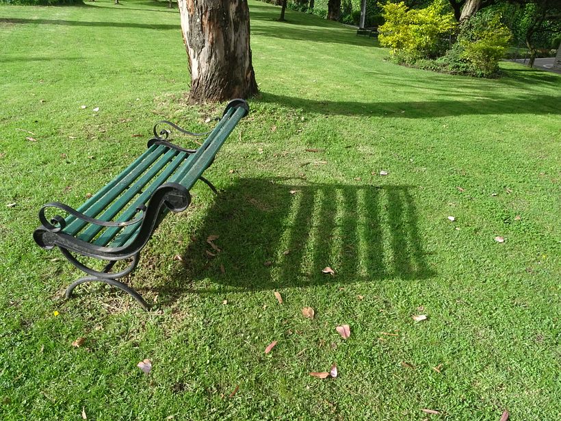 Naturaleza en vivo 4