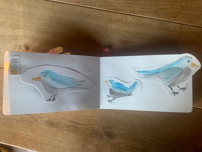 3 Farben Vögel