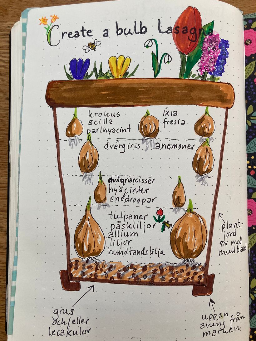 Bujo: beginning the journey 2