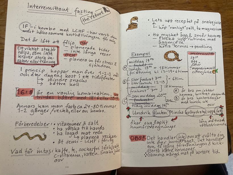 Bujo: beginning the journey 3