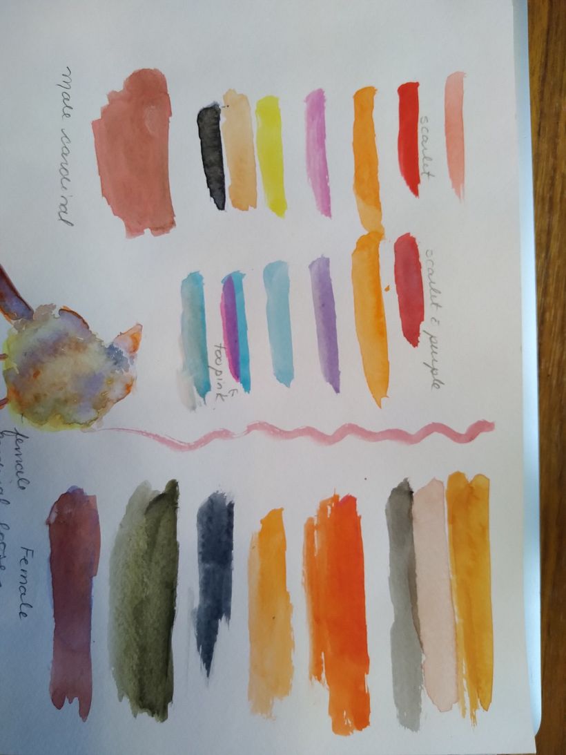 Colours: a bit lost with the female cardinal. Needs more ochre....