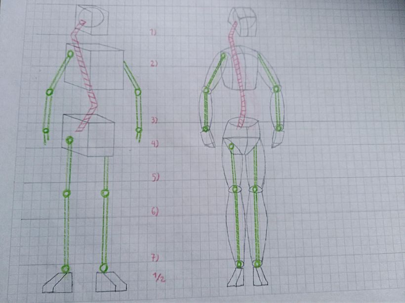 Figuras Cubicas del Cuerpo Humano