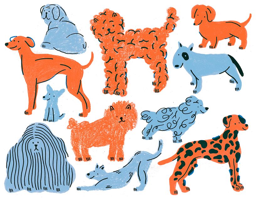 Perritos — Risografía 1