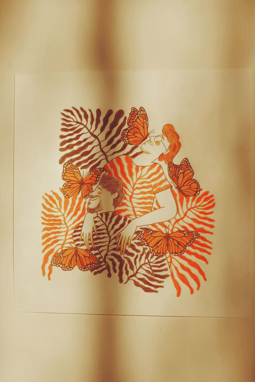 Idioma suave — Colección 5