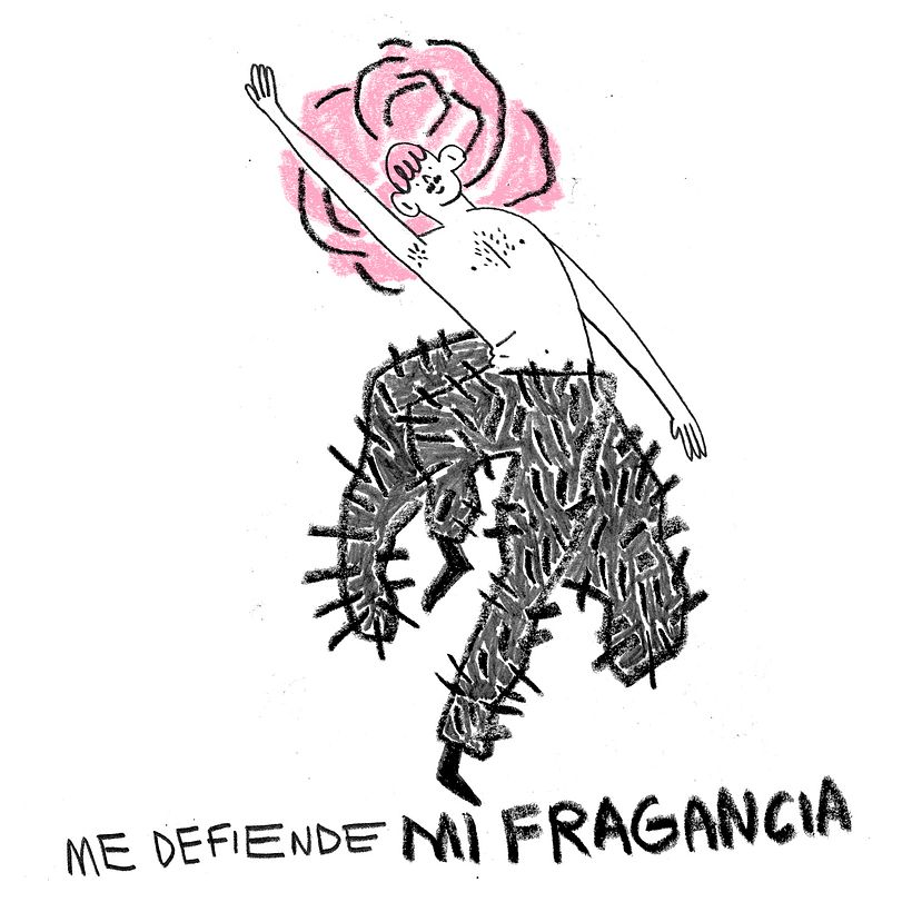 Tumbado en el jardín — Cómic 2