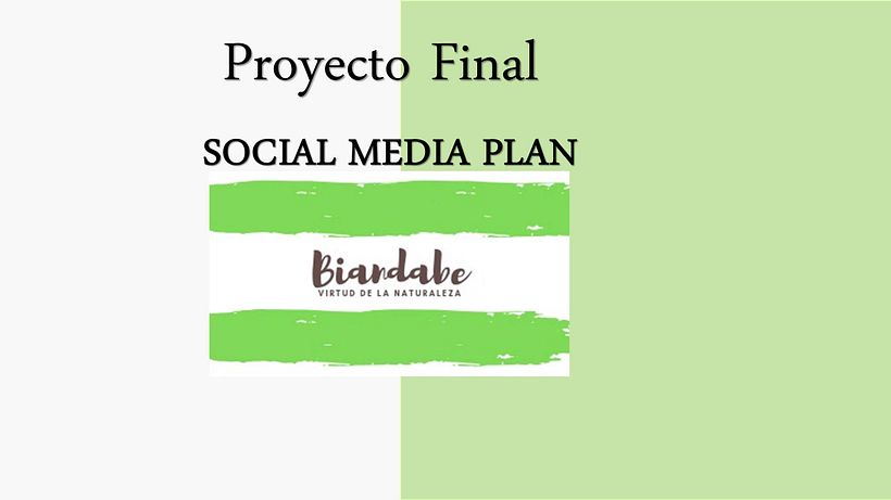 Mi Proyecto del curso: Estrategia de comunicación para redes sociales 3